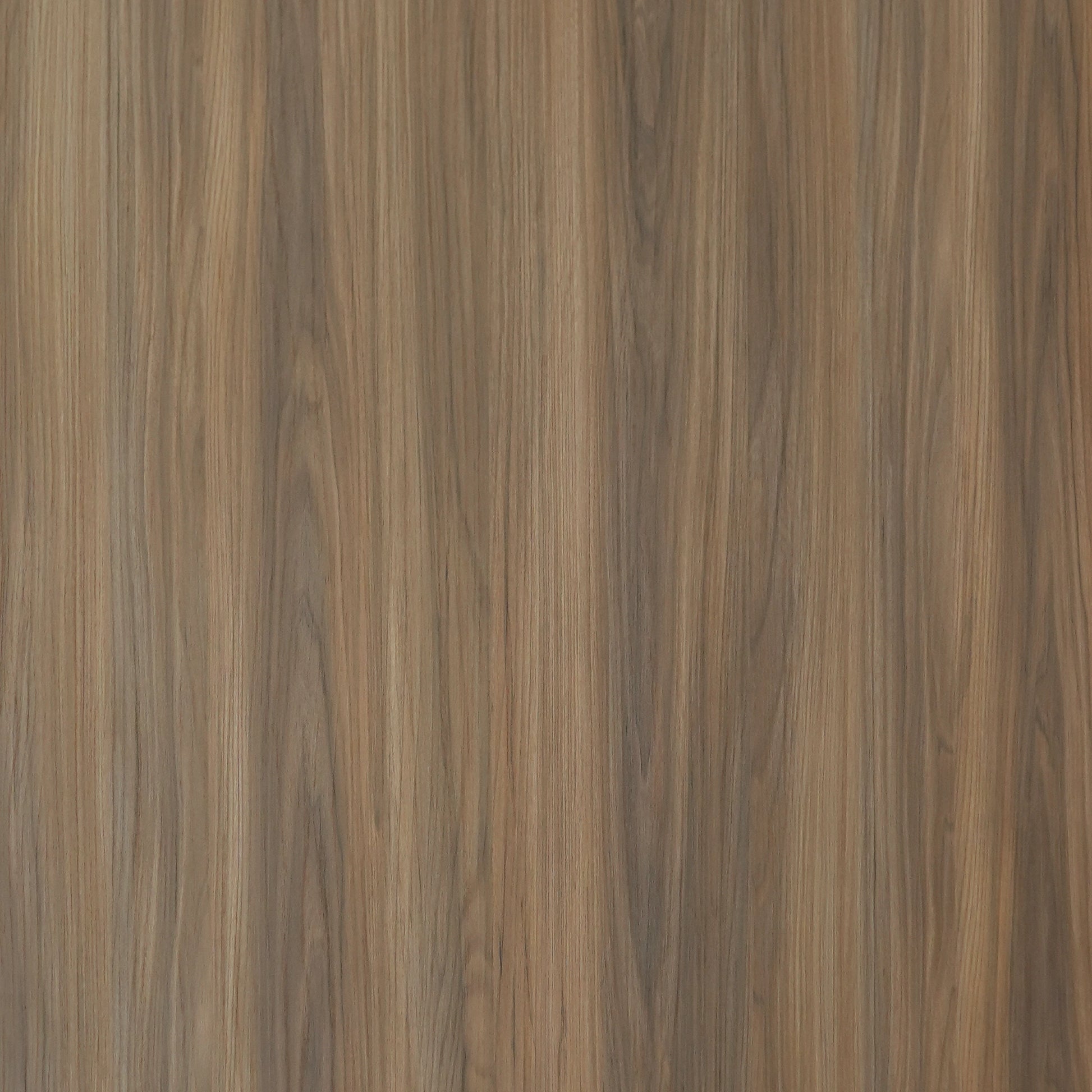 Aica Sunmica Sakura - WP 260 - Honeyed Hues Elm - 1mm 8ft x 4ft