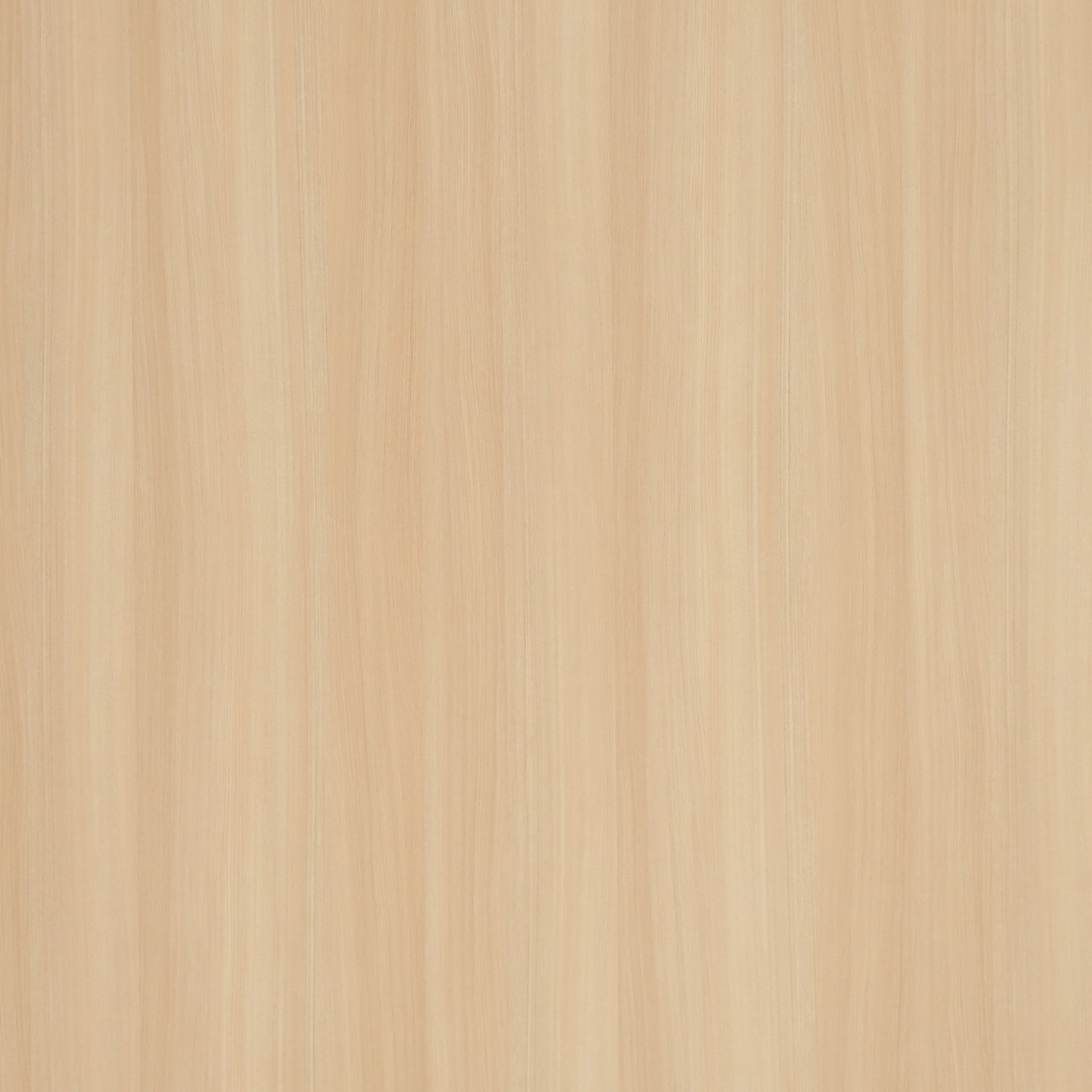 WP74_20SF.webp?v=1747745890&