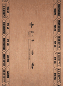 CenturyPly WIN MR Block Board