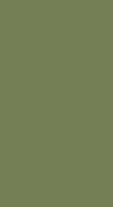 Airolam 1mm Laminates - 1216 - Sole Green