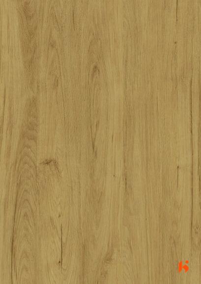 Finoble Laminates-1015 - Tarani Oak
