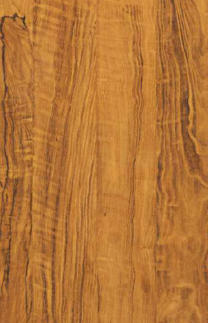 Dorby Laminates - Coral Wood - 831 -0.8mm - 8ft - x - 4ft