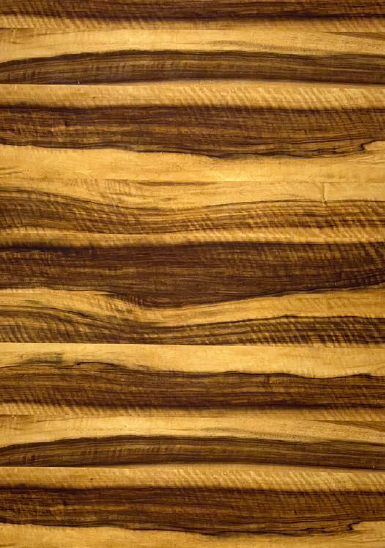 Treelam PU Veneer - European Walnut