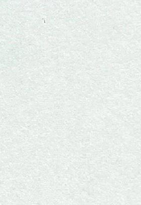 Merino Liner - 22381