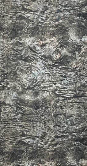 Treelam PU Veneer - Metallic Ash Burl 2023
