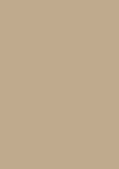 Finoble Laminate - 1103 - Camel Skin