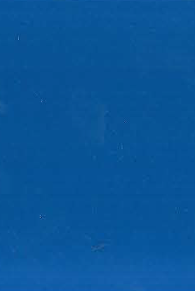 Greenlam New Point Eight- 7128 Evening Blue