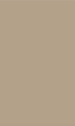 Pebble Acrylic Laminate 2mm - 1208 - Golden Nude