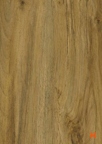 Finoble Laminates-1014 - Sary Walnut
