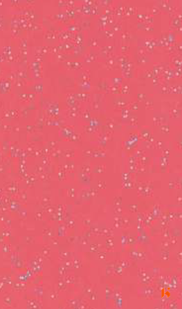 Virgo Croma Plus 0.8 laminates - 1255 - Mash