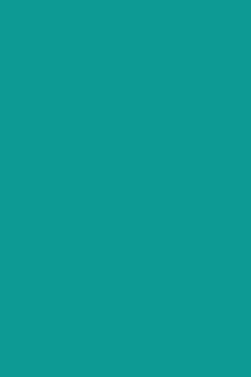 Virgo Vogue 0.8mm-1067-Sambre