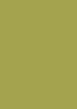 Virgo Vogue 0.8mm-1393-Rave Pear