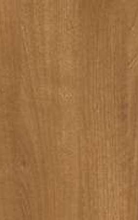 Virgo Vogue 0.8mm-2893-Cypress