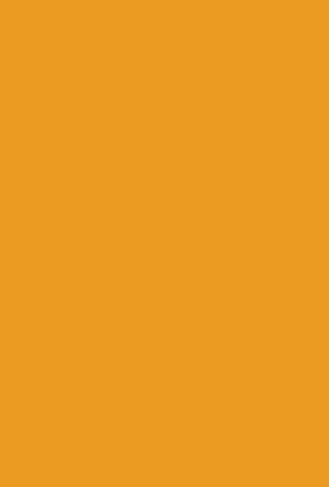 Virgo Mica-1083-Mari Gold