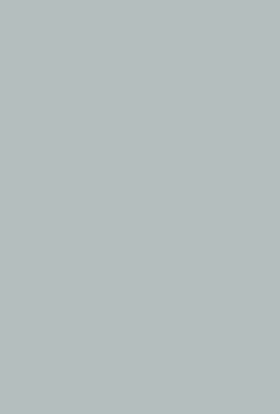 Virgo Mica-1101-Grey