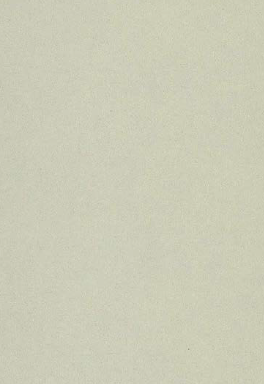 Virgo Mica-1812-Moon Light