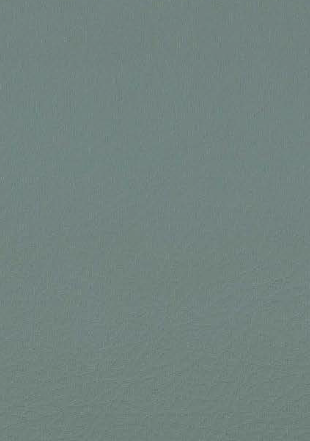 Virgo Mica-1955-Acacia Green