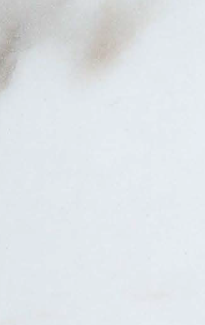 Virgo Mica-6398-Satvario