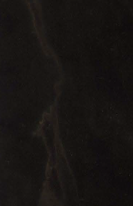 Virgo Mica-6442-Black Marble Slab