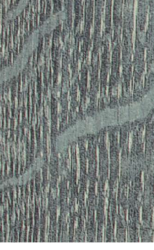 Virgo Mica-6905-Graven Oak