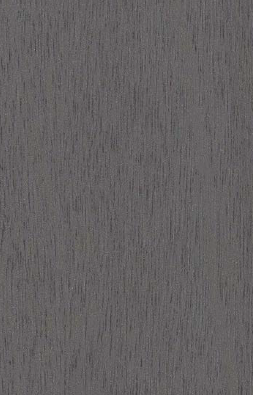 Virgo Mica-9840-Zastena Ash Light